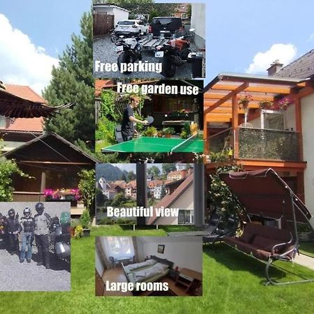 Steinadler Apartman Dog-Friendly, Quiet, Garden House With Private Parking And Beautiful Views Murau Exterior foto